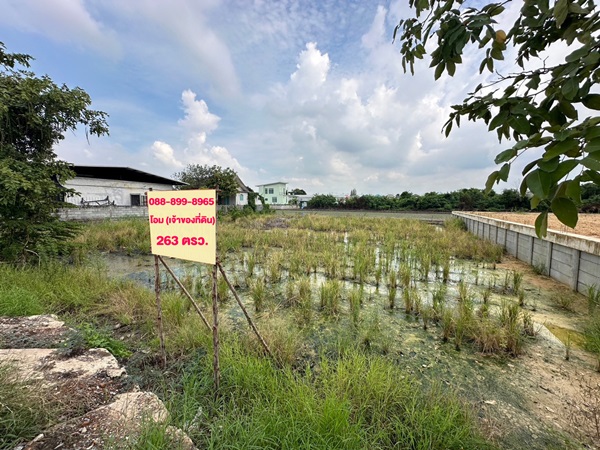 ขายที่ดิน 263 ตรว. พร้อมถมดินให้ ซอยวัดพูนพิมลราช ต.พิมลราช อ.บางบัวทอง จ.นนทบุรี โทร 088-899-8965