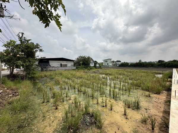 ขายที่ดิน 263 ตรว. พร้อมถมดินให้ ซอยวัดพูนพิมลราช ต.พิมลราช อ.บางบัวทอง จ.นนทบุรี โทร 088-899-8965