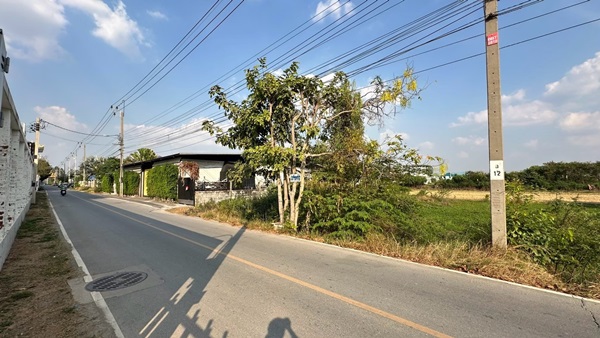 ขายที่ดิน 263 ตรว. พร้อมถมดินให้ ซอยวัดพูนพิมลราช ต.พิมลราช อ.บางบัวทอง จ.นนทบุรี โทร 088-899-8965