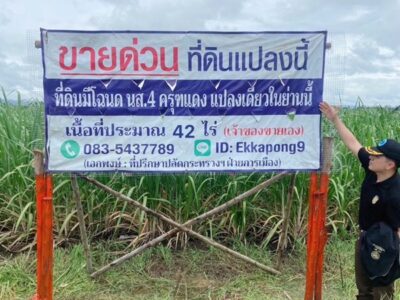 ด่วน ขายที่ดินแม่สอด-ห้วยกระโหลก จำนวน 42 ไร่ (ที่ดินมีโฉนด นส. 4 ครุฑแดงแปลงเดียวในย่านนี้)
