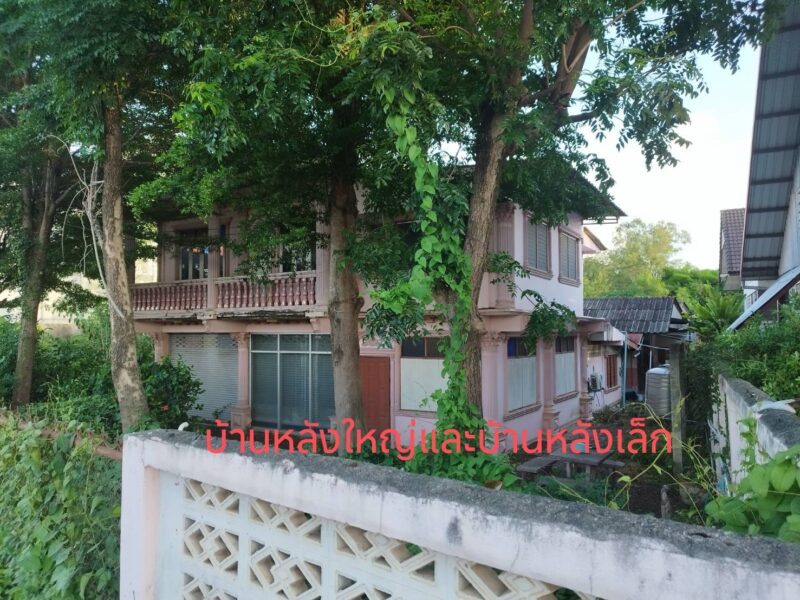ขายบ้านพร้อมที่ดินทำเลดีติดถนนใหญ่เขตชุมชนใน อ.เมือง จ.ลำพูน