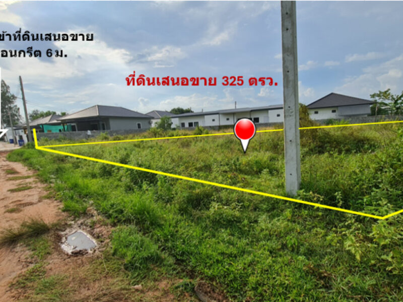 ขาย ที่ดิน ทำเลทองของย่านชุมชน บ้านกล้วย เนื้อที่ 3 งาน 25 ตรว ใกล้ตลาดสดและย่านการค้าสระครก หาของกินของใช้ใกล้นิดเดียว