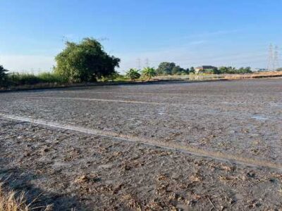 ขายที่ดิน 372.7 ตร.ว. ใกล้หมู่บ้าน เค.ซี.การ์เด้นโฮมและโรงเรียนนวมินทราชินูทิศ