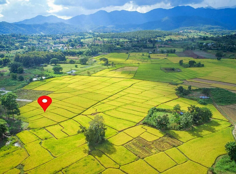 ขายที่ดิน ในโครงการชีวิตติดนา เฟส 2 ขนาด 73.9 ตร.ว. ใกล้ ถนนห้วยทราย-ใหม่