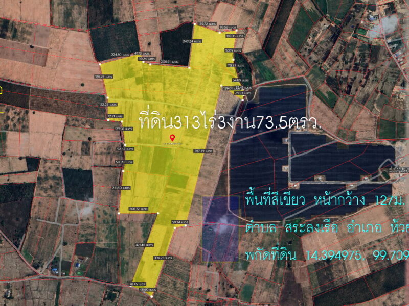 ขายที่ดิน313ไร่3งาน73ตรว. พื้นที่สีเขียว หน้ากว้าง 127ม. ถนนลูกลังสาธารณะ ตำบล สระลงเรือ อำเภอห้วยกระเจา กาญจนบุรี 094 8216 456