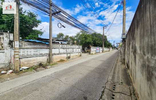 ขาย ที่ดิน ถมแล้ว-พร้อมสิ่งปลูกสร้าง ใกล้ถนนเพชรเกษมเพียง 90 เมตร ซอยเพชรเกษม65 2 งาน 99 ตรว