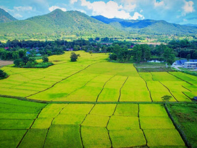 ขายที่ดิน ในโครงการชีวิตติดนา เฟส 2 ขนาด 73.9 ตร.ว. ใกล้ ถนนห้วยทราย-ใหม่