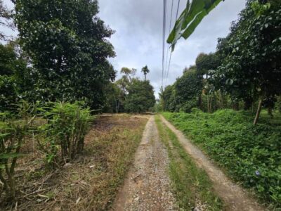 ขายที่ดินสวนผสม สวนผลไม้ อำเภอท่าใหม่ จันทบุรี