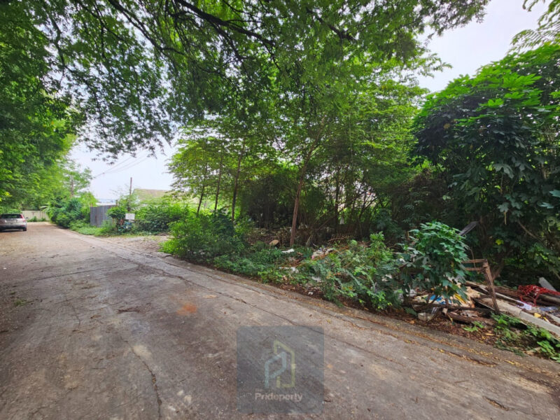 ขาย ที่ดินเปล่า 145 ตร.วา ซ.ปุณณวิถี 43 สุขุมวิท 101 ถนนกว้าง แปลงสี่เหลี่ยม
