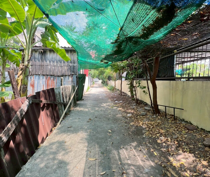 ขาย ที่ดิน ต่ำกว่าราคาตลาด ปลูกบ้านเล็กๆ 68 ตรว ถมแล้ว ถนนวัชรพล ซอยแม่จอน วัดศิริพงษ์ธรรมนิมิต, กรุงเทพมหานคร