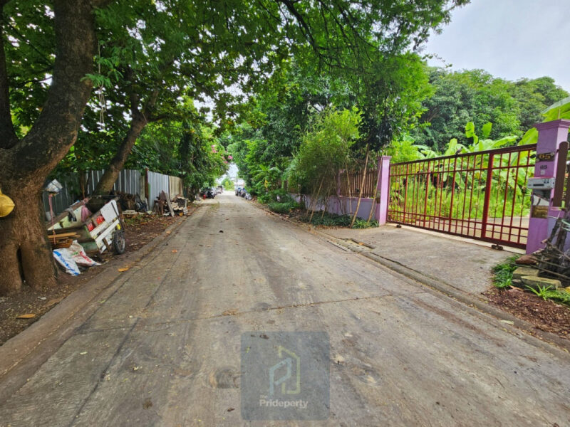ขาย ที่ดินเปล่า 145 ตร.วา ซ.ปุณณวิถี 43 สุขุมวิท 101 ถนนกว้าง แปลงสี่เหลี่ยม