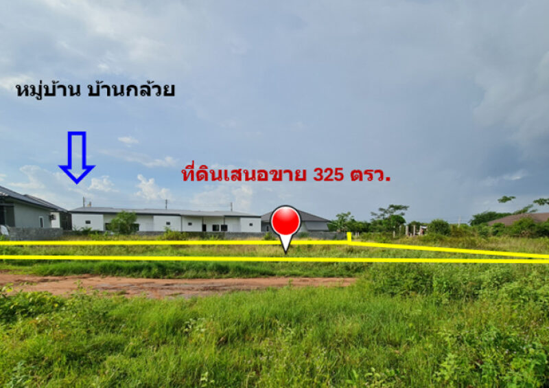 ขาย ที่ดิน ทำเลทองของย่านชุมชน บ้านกล้วย เนื้อที่ 3 งาน 25 ตรว ใกล้ตลาดสดและย่านการค้าสระครก หาของกินของใช้ใกล้นิดเดียว