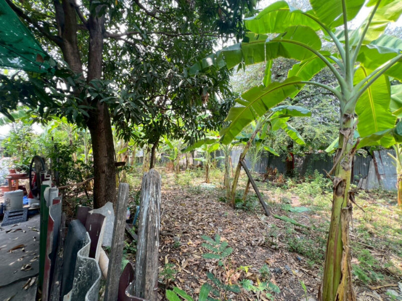 ขาย ที่ดิน ต่ำกว่าราคาตลาด ปลูกบ้านเล็กๆ 68 ตรว ถมแล้ว ถนนวัชรพล ซอยแม่จอน วัดศิริพงษ์ธรรมนิมิต, กรุงเทพมหานคร