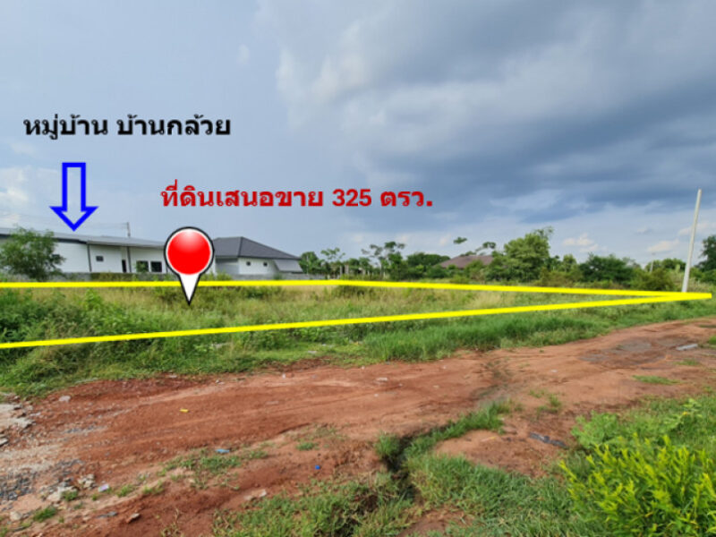 ขาย ที่ดิน ทำเลทองของย่านชุมชน บ้านกล้วย เนื้อที่ 3 งาน 25 ตรว ใกล้ตลาดสดและย่านการค้าสระครก หาของกินของใช้ใกล้นิดเดียว