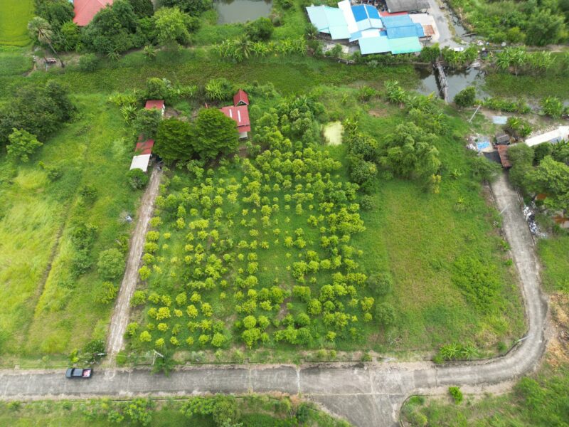 ที่ดินสุวินทวงศ์ 47 หนองจอก กรุงเทพ เนื้อที่ 2 ไร่ 84 ตรว