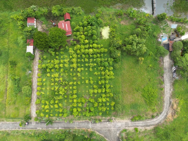 ที่ดินหนองจอก ติดคลองธรรมชาติ เนื้อที่ 2 ไร่