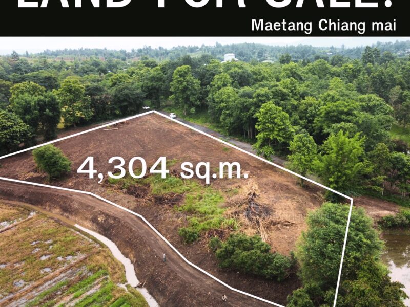 ขายที่ดินแม่แตง เชียงใหม่ 2ไร่กว่า โฉนด วิวเขา ติดคลอง บรรยากาศสุดสงบ เพียง 2.96 ล้านเท่านั้น!
