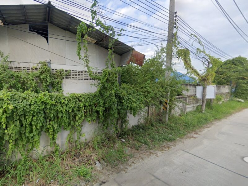 ที่ดินผังสีชมพู หนองข้างของ ชลบุรี