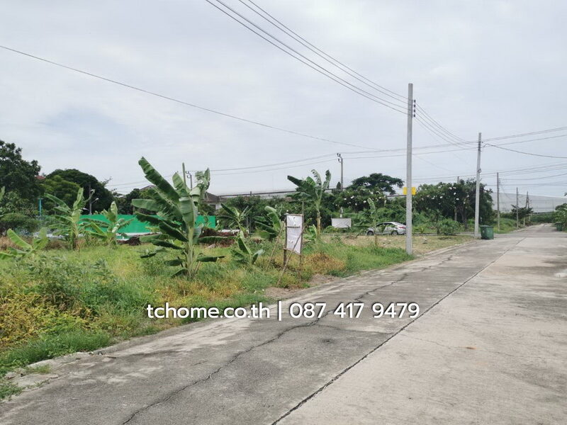 ขายด่วนที่ดิน 102 ตรว. ราคาไม่แพง โครงการชัยพฤกษ์บางนา กม.18 เยื้อง ม.หัวเฉียวเฉลิมพระเกียรติฯ