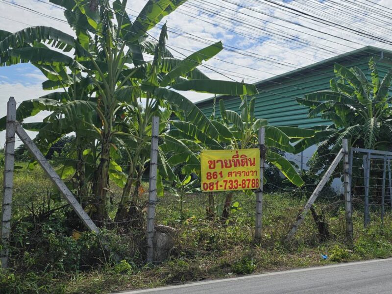 ขายที่บางบัวทอง เจ้าของขายเอง
