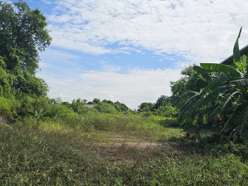 ขายที่บางบัวทอง เจ้าของขายเอง