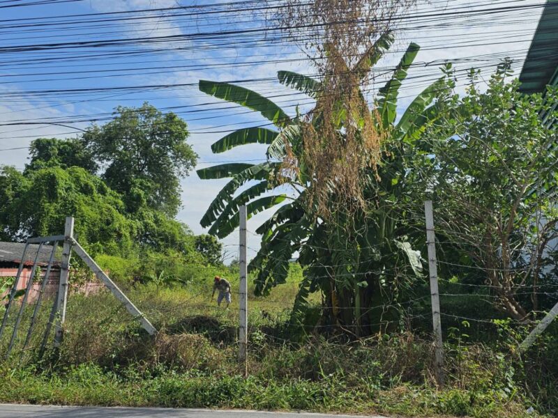 ขายที่บางบัวทอง เจ้าของขายเอง