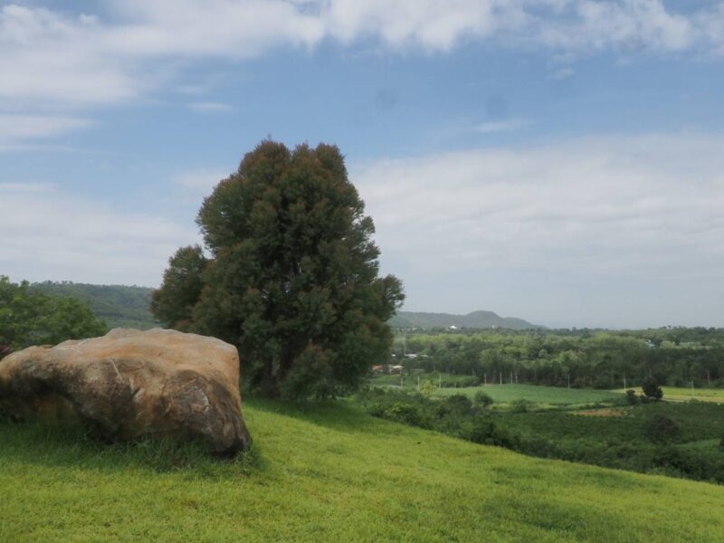 ขายที่ดินเขาใหญ่ บนเนินเขา *วิว360องศา เริ่ม 1.26 ล้านบาท (สูง 440 ม.) ( ที่ดินจัดสรรฯ แบ่งแปลง เริ่มต้น 97วา 13,000บ./วา. ) อากาศบริสุทธิ์ (ราคาพิเศษ) อ.ปากช่อง จ.นครราชสีมา