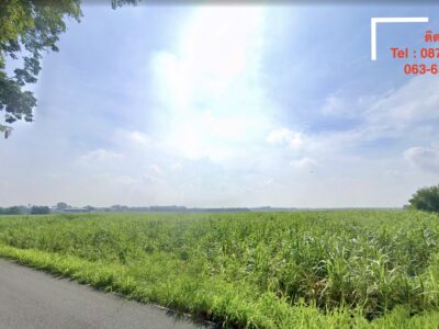 ⭐️ ขายที่ดินบ้านบึง พื้นใหญ่ ใกล้ถนน 331 ชลบุรี ⭐️