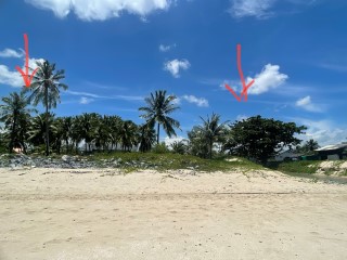 ขายด่วน ที่ติดทะเล ติดหาดยาว 47 +20 เมตร1 ไร่ 3.5 ล้าน
