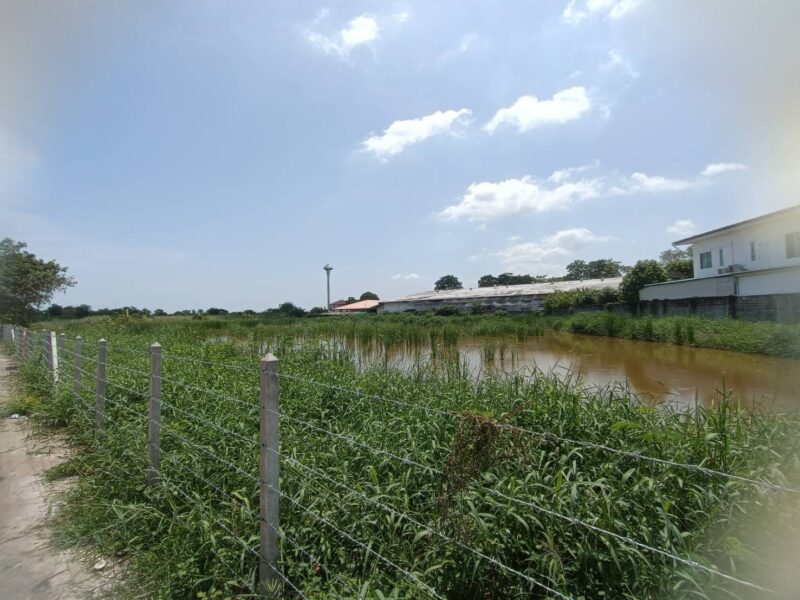 ขายที่ดินตำบลบางน้ำจืด สมุทรสาคร พื้นที่สีชมพู2