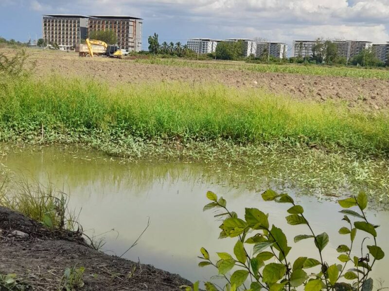 ale Nice Land 5 Rais Nakhon Pathom suitable for residence and Projects