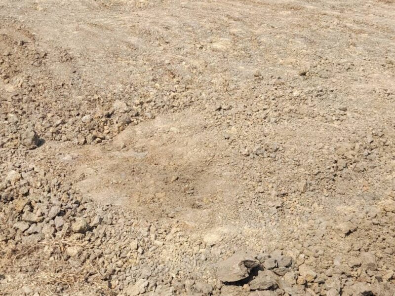 ale Nice Land 5 Rais Nakhon Pathom suitable for residence and Projects