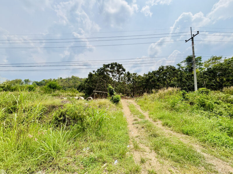 ขาย ที่ดิน จันทบุรี สอยดาว ตามูล เนื้อที่ 10 ไร่ 3 งาน 62 ตรว