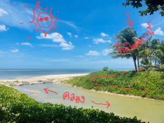 ขายด่วน ที่ติดทะเล ติดหาดยาว 47 +20 เมตร1 ไร่ 3.5 ล้าน