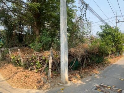 ขายที่ดิน 207 ตรว ทำเลดี ติดถนน ใกล้เมืองลำพูน ราคาถูกมาก