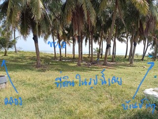 ขายด่วน ที่ติดทะเล ติดหาดยาว 47 +20 เมตร1 ไร่ 3.5 ล้าน