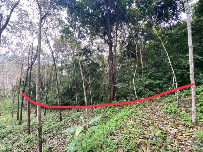 Beautiful island for sale almost 6 Rais with Chanote Offered land for sale an island near tourist attractions, Phang Nga
