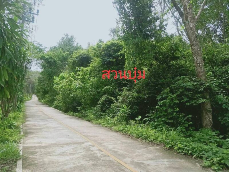 Beautiful island for sale almost 6 Rais with Chanote Offered land for sale an island near tourist attractions, Phang Nga