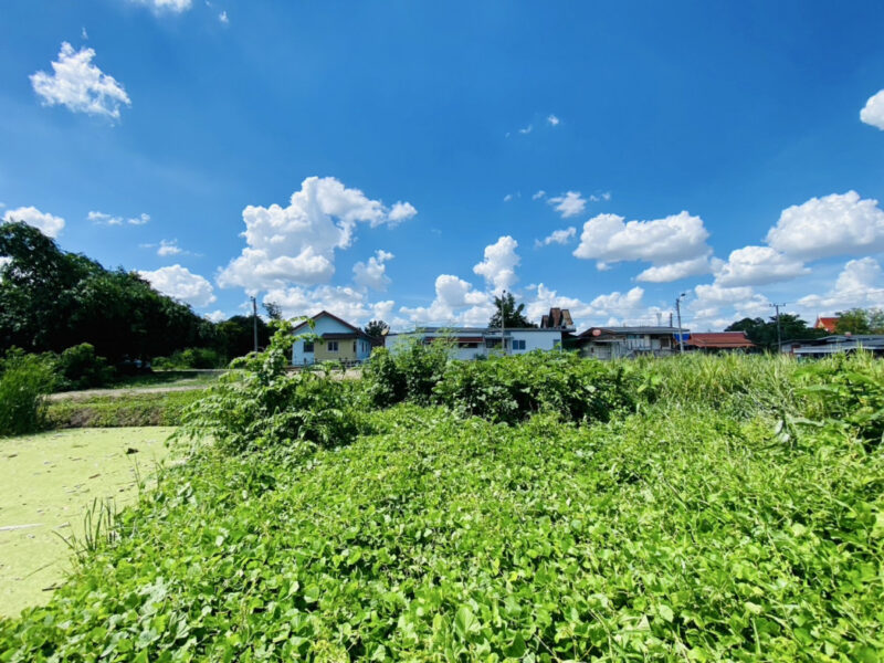 ขาย ที่ดิน บางใหญ่ เสาธงหิน เนื้อที่ 1 ไร่ 1 งาน 22 ตรว