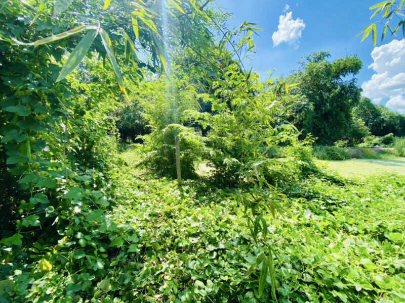ขาย ที่ดิน บางใหญ่ เสาธงหิน เนื้อที่ 1 ไร่ 1 งาน 22 ตรว