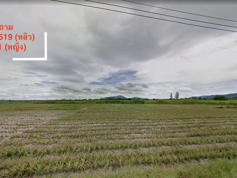 ⭐️ ขายที่ดินบ้านบึง พื้นใหญ่ ใกล้ถนน 331 ชลบุรี ⭐️