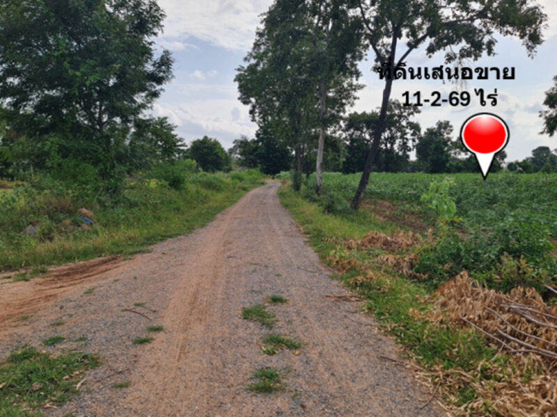 ขาย ที่ดิน ย่านบ้านบุ่งตะแบก อ.โนนไทย จ.นครราชสีมา ห่างจากถนนคอนกรีตแค่ 300 ม. เนื้อที่ 11 ไร่ 2 งาน 69 ตรว ฟรีโอน ลดราคาอีก อยากขายด่วน