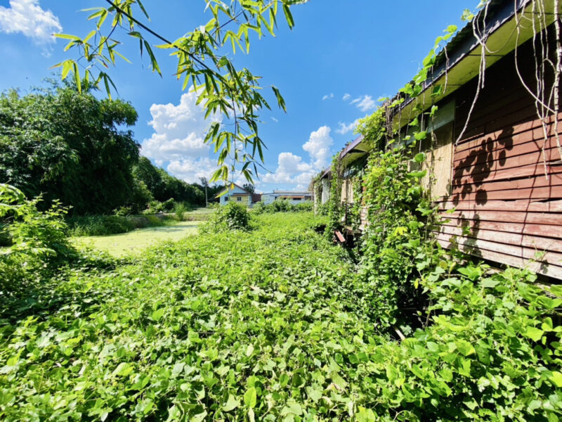 ขาย ที่ดิน บางใหญ่ เสาธงหิน เนื้อที่ 1 ไร่ 1 งาน 22 ตรว