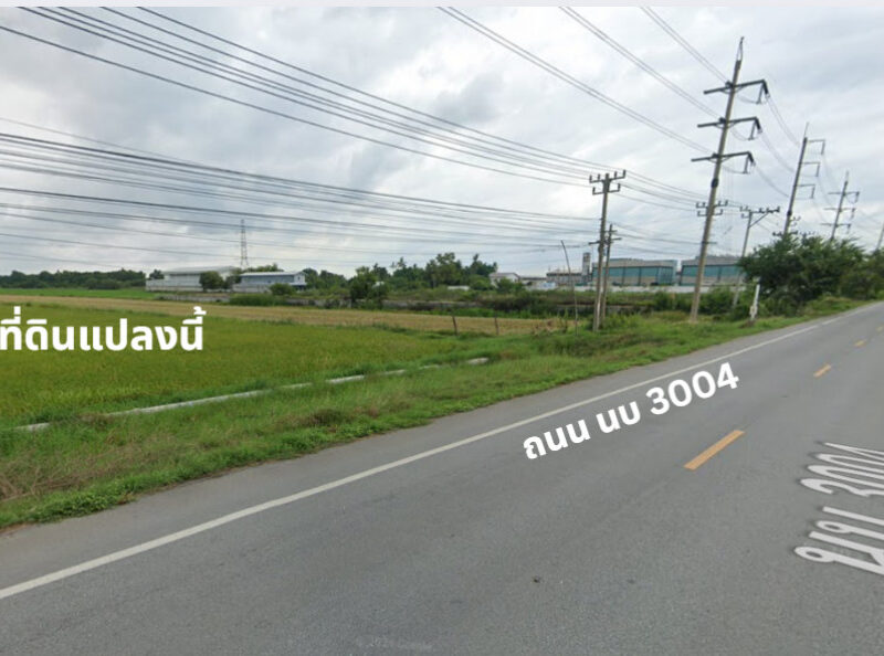 ขาย ที่ดิน ไทรน้อย 13 ไร่ 2 งาน 23 ตรว ใกล้โรงงานเบียร์ไฮเนเก้น ราคาต่ำกว่าตลาด เหมาะสำหรับลงทุน