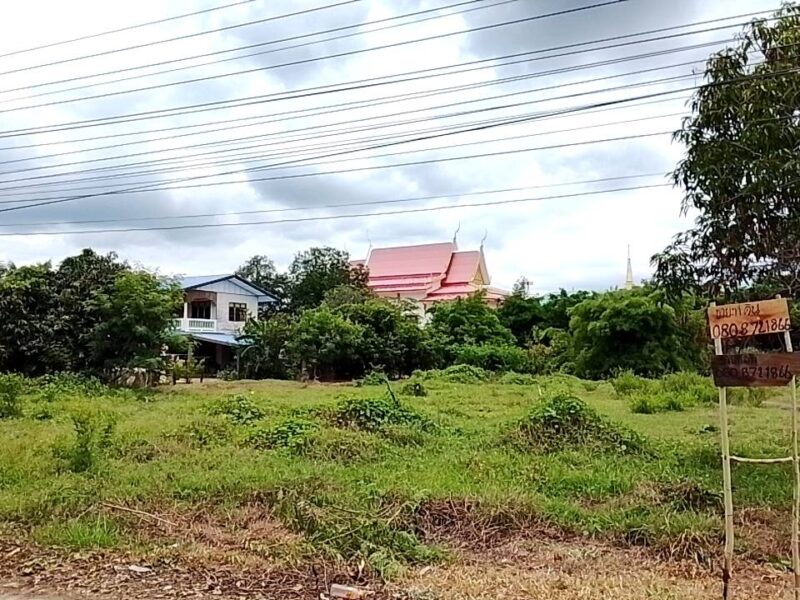 ขายด่วน!!!!! ที่ดิน 2 ไร่ ติดวัดหลวงพ่อพัฒน์