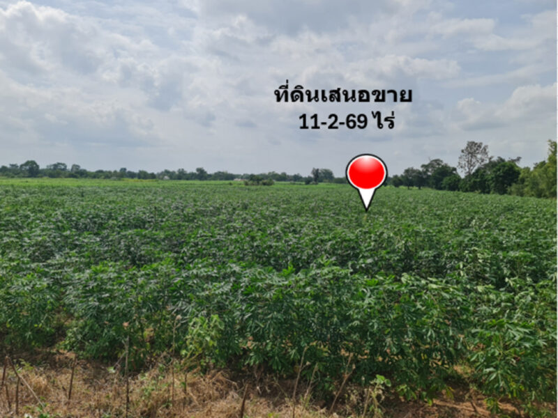 ขาย ที่ดิน ย่านบ้านบุ่งตะแบก อ.โนนไทย จ.นครราชสีมา ห่างจากถนนคอนกรีตแค่ 300 ม. เนื้อที่ 11 ไร่ 2 งาน 69 ตรว ฟรีโอน ลดราคาอีก อยากขายด่วน