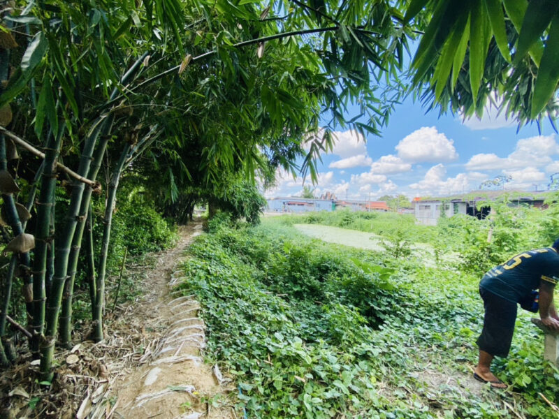 ขาย ที่ดิน บางใหญ่ เสาธงหิน เนื้อที่ 1 ไร่ 1 งาน 22 ตรว