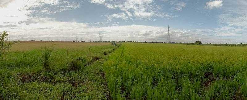 ขายที่ดินเปล่าแปลงสวย ติดถนนใหญ่ อย.3006 ลาดบัวหลวง–ไม้ตรา อ.ลาดบัวหลวง จ.พระนครศรีอยุธยา 30-3-74 ไร่