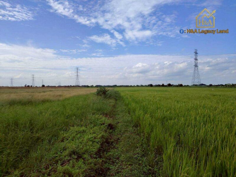 ขายที่ดินเปล่าแปลงสวย ติดถนนใหญ่ อย.3006 ลาดบัวหลวง–ไม้ตรา อ.ลาดบัวหลวง จ.พระนครศรีอยุธยา 30-3-74 ไร่
