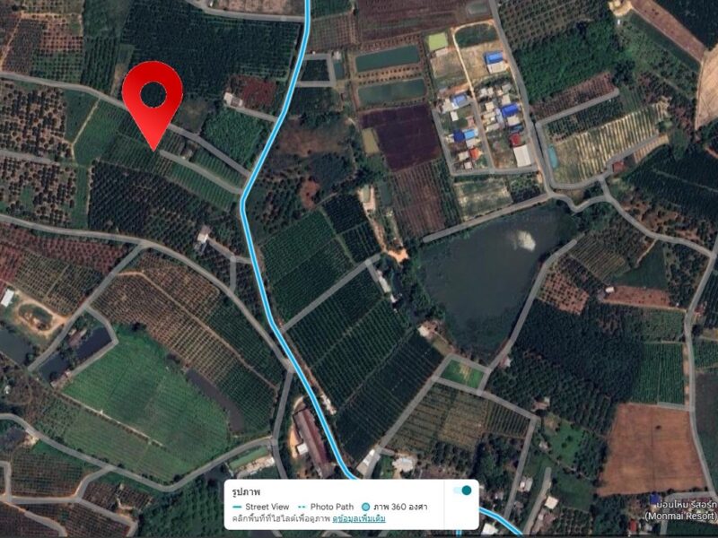 ด่วน !! ขายที่ดิน สวนเสาวรส พร้อมเก็บเกี่ยว